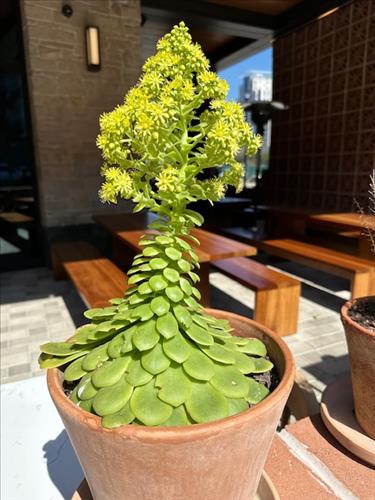 hẹn hò - 😊-Les -Tuổi:37 - Độc thân--Tìm bạn bè mới