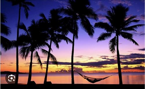 hẹn hò - Vyvy Tran-Les -Tuổi:41 - Độc thân-Hà Nội-Tìm bạn bè mới