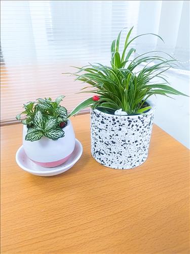 hẹn hò - Kin-Les -Tuổi:28 - Độc thân-TP Hồ Chí Minh-Tìm bạn bè mới