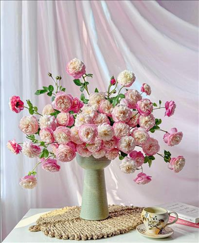 hẹn hò - Love-Les -Tuổi:41 - Độc thân-TP Hồ Chí Minh-Tìm bạn tâm sự