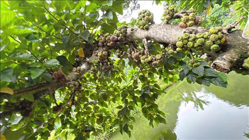 hẹn hò - Bốn mùa-Les -Tuổi:43 - Độc thân-Hải Phòng-Người yêu lâu dài