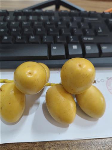 hẹn hò - Mộc  -Lesbian -Age:43 - Single-Ninh Bình-Lover - Best dating website, dating with vietnamese person, finding girlfriend, boyfriend.