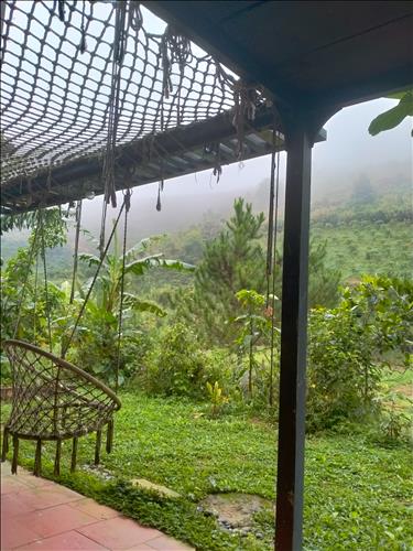 hẹn hò - Mây mây-Les -Tuổi:38 - Độc thân-Lâm Đồng-Người yêu lâu dài