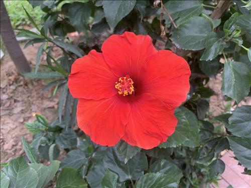 hẹn hò - Trang -Lesbian -Age:25 - Single-Hà Nội-Friend - Best dating website, dating with vietnamese person, finding girlfriend, boyfriend.