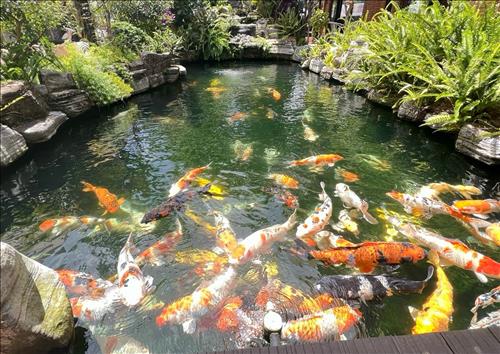 hẹn hò - Vy Vy-Les -Tuổi:22 - Độc thân-TP Hồ Chí Minh-Tìm bạn tâm sự