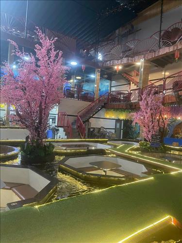 hẹn hò - Hoa mẫu đơn -Les -Tuổi:34 - Độc thân-TP Hồ Chí Minh-Người yêu lâu dài