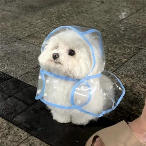 hẹn hò - Hanh-Les -Tuổi:33 - Độc thân-TP Hồ Chí Minh-Người yêu ngắn hạn
