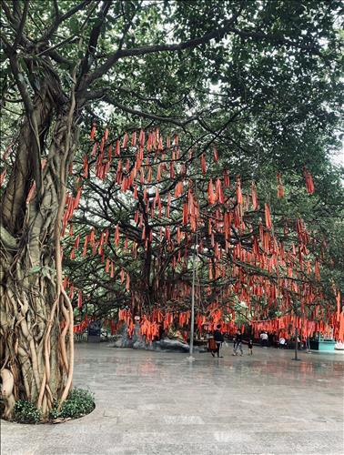 hẹn hò - Nguyên-Les -Tuổi:33 - Độc thân-TP Hồ Chí Minh-Người yêu lâu dài