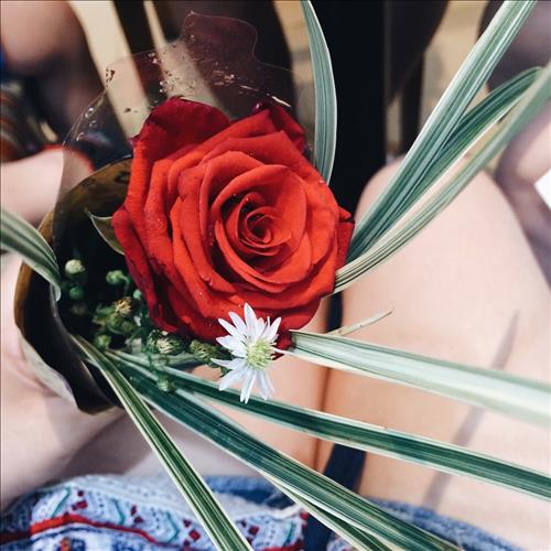 hẹn hò - 🐥-Les -Tuổi:31 - Độc thân-TP Hồ Chí Minh-Người yêu lâu dài