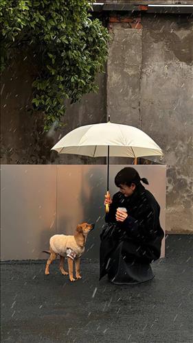 hẹn hò - 🧚‍♂️-Les -Tuổi:31 - Độc thân-TP Hồ Chí Minh-Tìm bạn bè mới