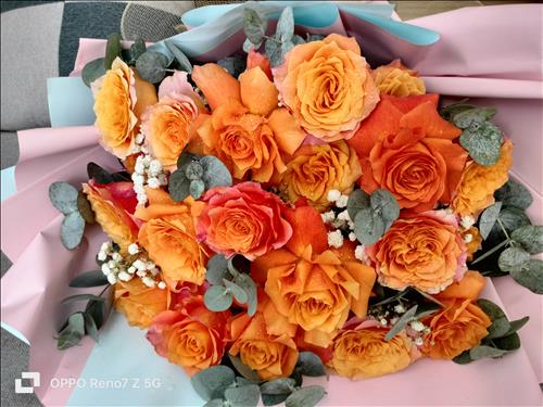 hẹn hò - Mùa Xuân là mùa đẹp nhất-Les -Tuổi:35 - Độc thân-Cần Thơ-Tìm bạn bè mới