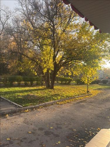 hẹn hò - Nặc Ân -Lesbian -Age:39 - Single-TP Hồ Chí Minh-Friend - Best dating website, dating with vietnamese person, finding girlfriend, boyfriend.