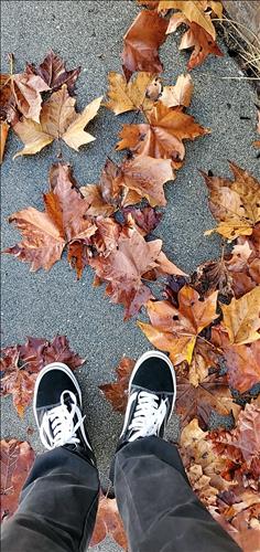 hẹn hò - Tình Đơn Phương-Les -Tuổi:60 - Độc thân-Tiền Giang-Tìm bạn tâm sự