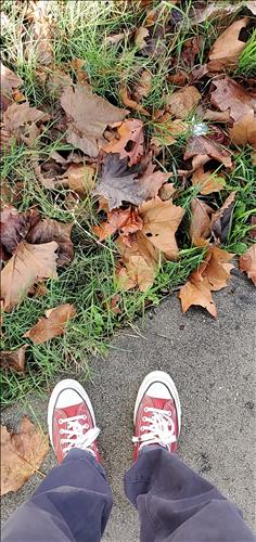 hẹn hò - Nửa Vầng Trăng-Les -Tuổi:60 - Độc thân-Tiền Giang-Tìm bạn tâm sự