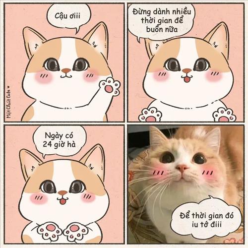 hẹn hò - Silence-Lesbian -Age:29 - Single-TP Hồ Chí Minh-Confidential Friend - Best dating website, dating with vietnamese person, finding girlfriend, boyfriend.