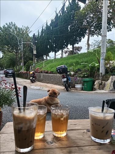 hẹn hò - Xu xu-Lesbian -Age:38 - Single-Lâm Đồng-Confidential Friend - Best dating website, dating with vietnamese person, finding girlfriend, boyfriend.