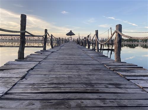 hẹn hò - Lưu Ly-Les -Tuổi:32 - Độc thân-TP Hồ Chí Minh-Người yêu lâu dài
