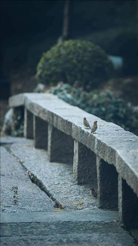 hẹn hò - Emmy-Lesbian -Age:37 - Single-TP Hồ Chí Minh-Friend - Best dating website, dating with vietnamese person, finding girlfriend, boyfriend.