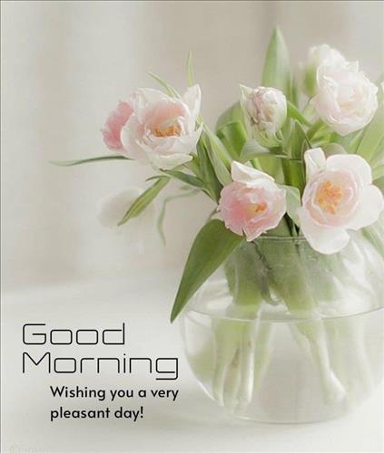 hẹn hò - Cầu vồng-Les -Tuổi:46 - Độc thân-TP Hồ Chí Minh-Tìm bạn bè mới