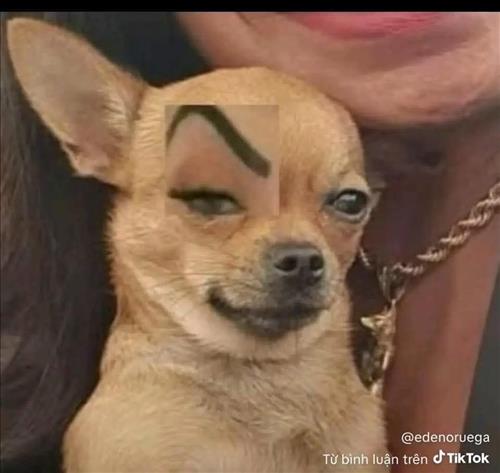 hẹn hò - Huỳnh Dung-Lesbian -Age:22 - Single-TP Hồ Chí Minh-Confidential Friend - Best dating website, dating with vietnamese person, finding girlfriend, boyfriend.