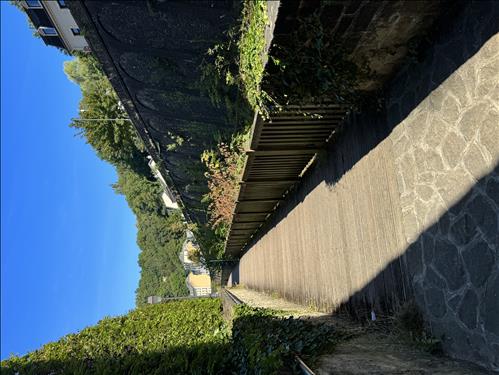 hẹn hò - AmyChung-Les -Tuổi:37 - Độc thân-TP Hồ Chí Minh-Người yêu lâu dài