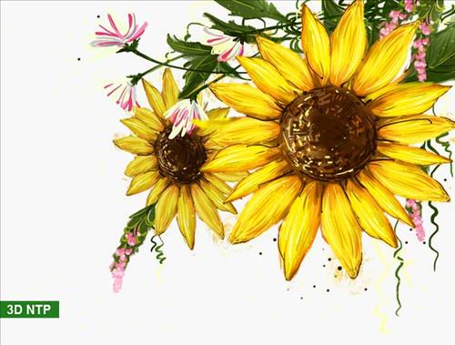 hẹn hò - Mưa Tháng 9 -Les -Tuổi:34 - Độc thân-Đồng Tháp-Tìm bạn bè mới