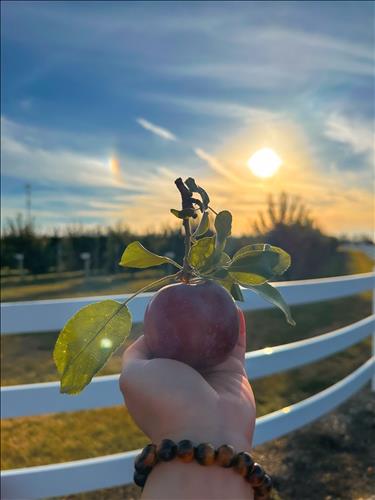 hẹn hò - Em pé Ngáo Ngơ-Les -Tuổi:36 - Đã có gia đình--Tìm bạn tâm sự