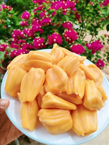 hẹn hò - Bình yên-Les -Tuổi:35 - Độc thân-Tiền Giang-Người yêu lâu dài