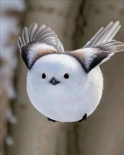 hẹn hò - Coco-Lesbian -Age:43 - Single-Khánh Hòa-Lover - Best dating website, dating with vietnamese person, finding girlfriend, boyfriend.