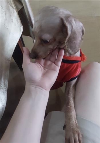 hẹn hò - Diemle-Les -Tuổi:45 - Độc thân-TP Hồ Chí Minh-Tìm bạn bè mới