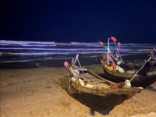 hẹn hò - Tu Do-Les -Tuổi:45 - Độc thân-Hà Nội-Tìm bạn bè mới