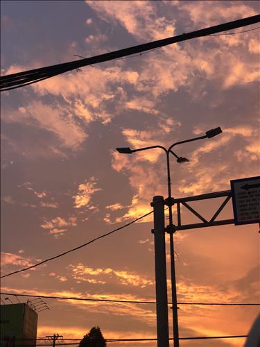 hẹn hò - Mộc Trà-Les -Tuổi:25 - Độc thân-TP Hồ Chí Minh-Người yêu lâu dài