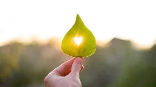 hẹn hò - thoáng qua -Les -Tuổi:40 - Đã có gia đình-TP Hồ Chí Minh-Tìm bạn bè mới