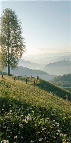 hẹn hò - Joy-Les -Tuổi:28 - Độc thân-Đà Nẵng-Tìm bạn bè mới