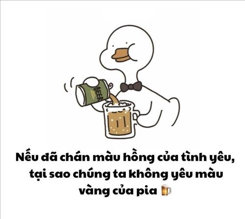 Cẩm chướng