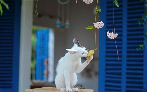 hẹn hò - Ngọt-Les -Tuổi:37 - Độc thân-TP Hồ Chí Minh-Tìm bạn bè mới