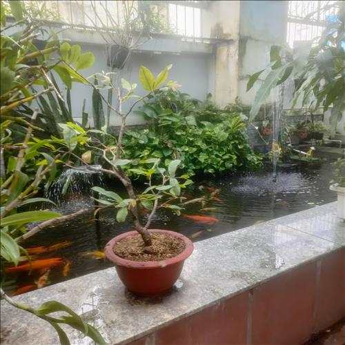 hẹn hò - Jing04-Les -Tuổi:36 - Độc thân-TP Hồ Chí Minh-Người yêu lâu dài