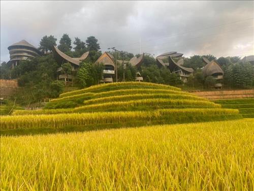 Miên Viễn