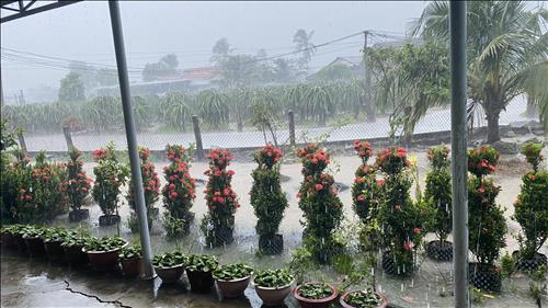 hẹn hò - Người miền Tây -Les -Tuổi:40 - Độc thân-TP Hồ Chí Minh-Tìm bạn tâm sự