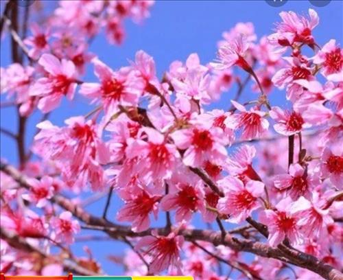 hẹn hò - Trúc -Les -Tuổi:39 - Độc thân-TP Hồ Chí Minh-Tìm bạn tâm sự