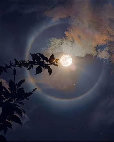 hẹn hò - Sun-Les -Tuổi:38 - Độc thân-TP Hồ Chí Minh-Tìm bạn tâm sự