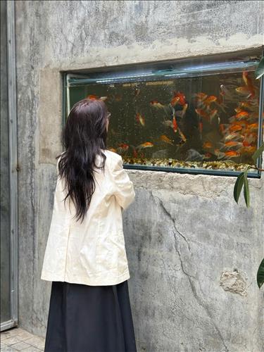hẹn hò - Tư 思-Les -Tuổi:36 - Độc thân-TP Hồ Chí Minh-Người yêu lâu dài
