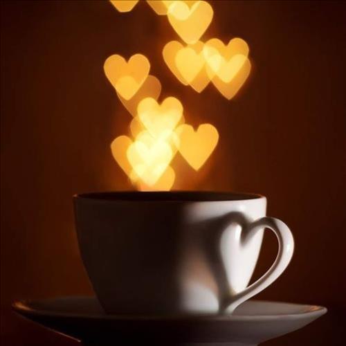 hẹn hò - Yine-Les -Tuổi:43 - Độc thân-TP Hồ Chí Minh-Người yêu lâu dài