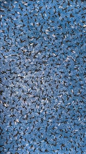 hẹn hò - Wild-Nữ -Tuổi:35 - Độc thân-Hà Nội-Người yêu lâu dài