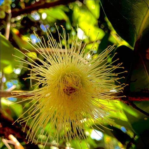 hẹn hò - 'TĨNH LẶNG'-Les -Tuổi:35 - Độc thân-Bến Tre-Người yêu lâu dài