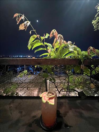 hẹn hò - Tea cup-Les -Tuổi:28 - Độc thân--Tìm bạn tâm sự