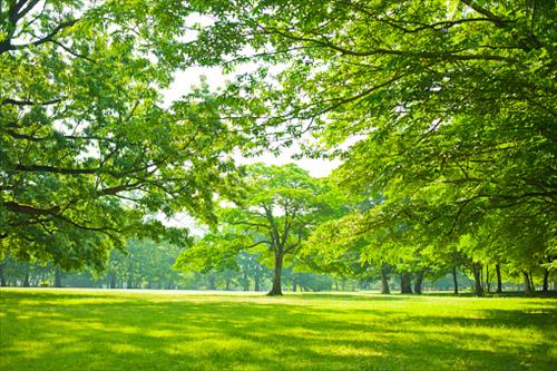 hẹn hò - NCHa-Les -Tuổi:32 - Độc thân-Bắc Ninh-Người yêu lâu dài