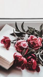 hẹn hò - @hy-Les -Tuổi:28 - Độc thân-Hà Nội-Tìm bạn bè mới