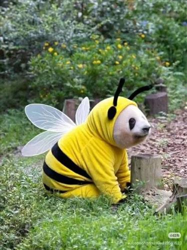 hẹn hò - Mật Ong 🍯-Lesbian -Age:33 - Single-TP Hồ Chí Minh-Confidential Friend - Best dating website, dating with vietnamese person, finding girlfriend, boyfriend.