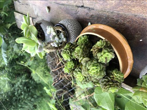 hẹn hò - mèo -Les -Tuổi:38 - Độc thân-Lâm Đồng-Người yêu lâu dài